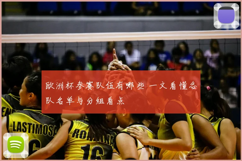 欧洲杯参赛队伍有哪些 一文看懂各队名单与分组看点