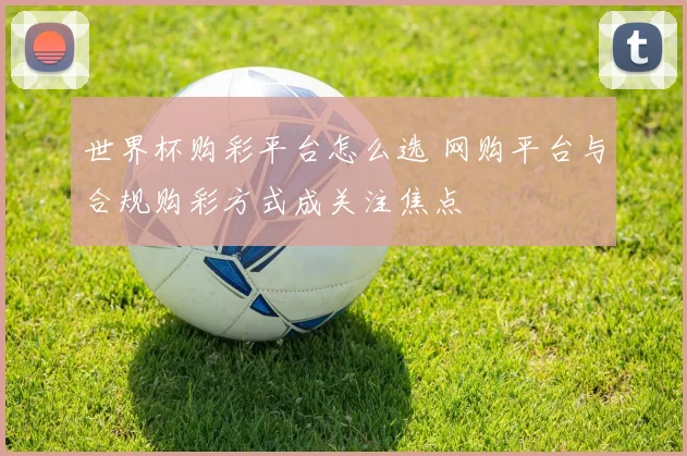 世界杯购彩平台怎么选 网购平台与合规购彩方式成关注焦点