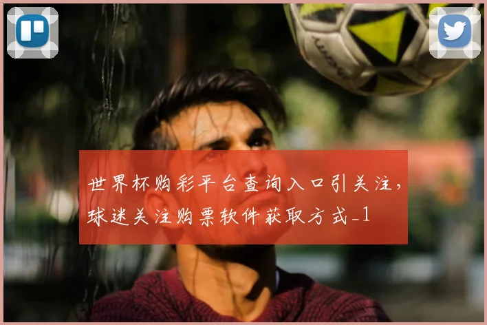 世界杯购彩平台查询入口引关注，球迷关注购票软件获取方式_1
