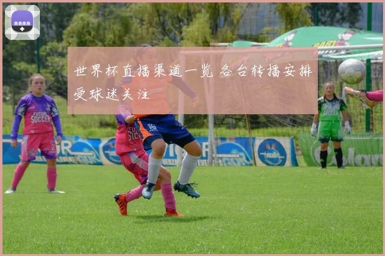 世界杯直播渠道一览 各台转播安排受球迷关注